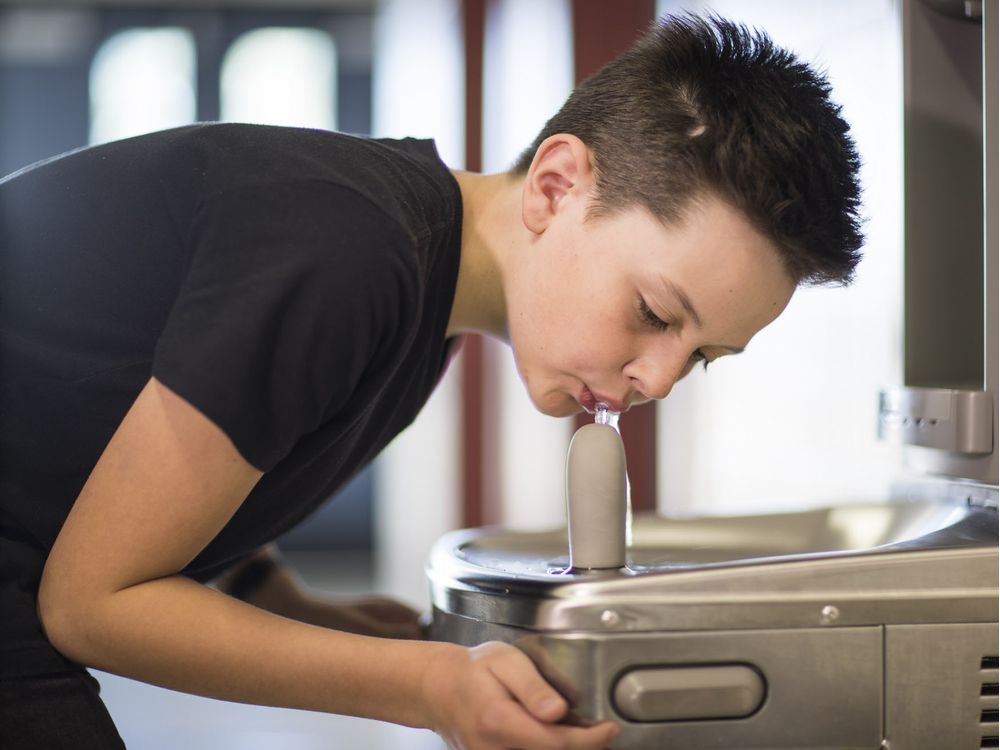 Fuentes de Agua para Colegios y Universidades