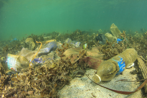 El terrible daño que causan las botellas de plástico a los océanos. 